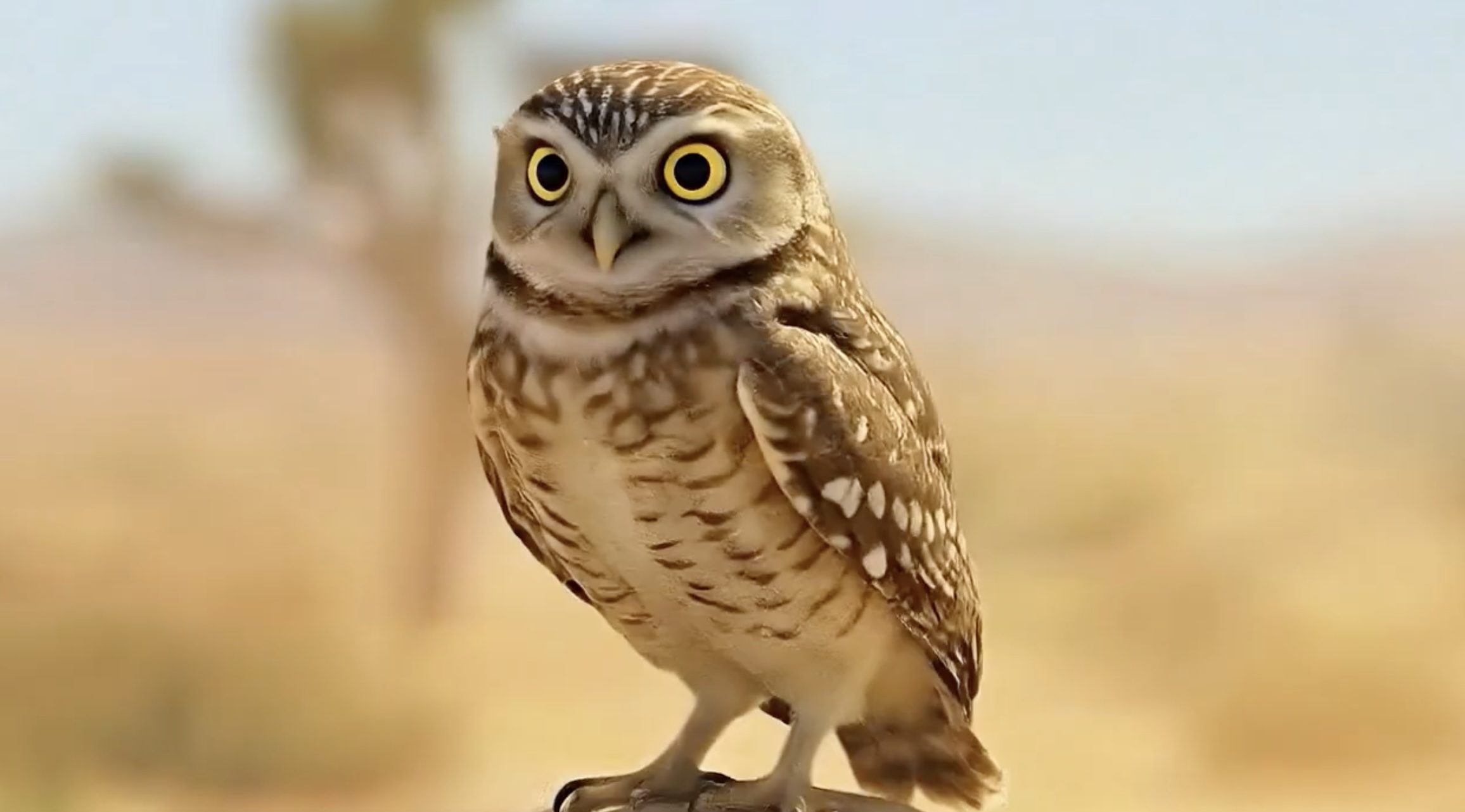 Animación IA estilo Pixar